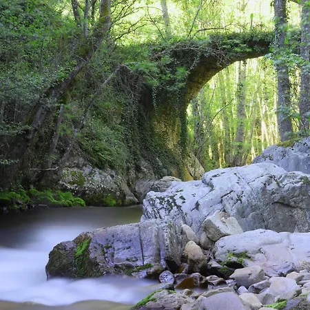 Maria 컨트리하우스 *