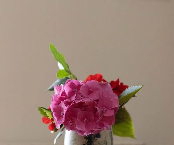 컨트리하우스 Maria 몰리나세카